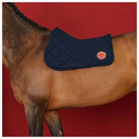 hermes dekjes paard|hermes horse pads.